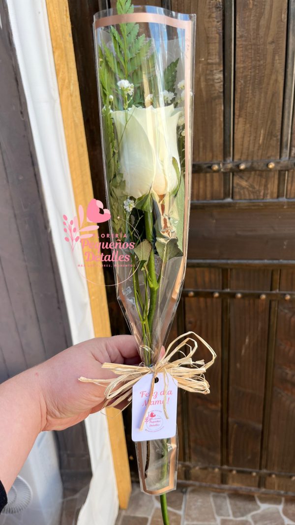 Rosa ocasión especial