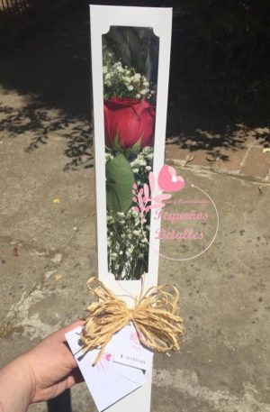 Caja de una Rosa