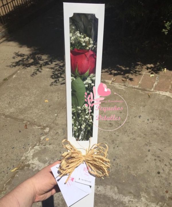 Caja de una Rosa